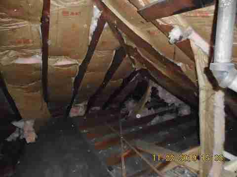 11648 Mendota (91)_m.jpg